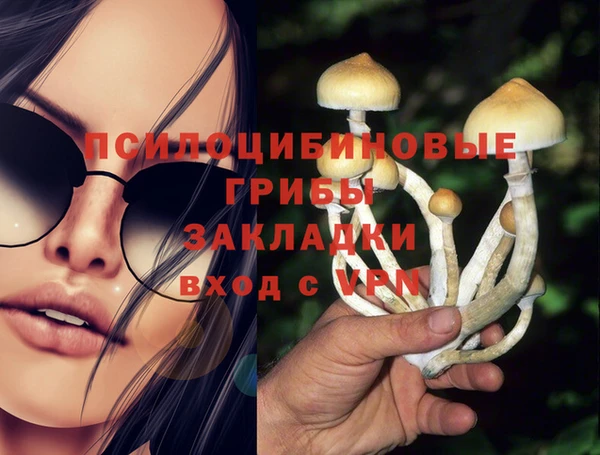 трава Балахна