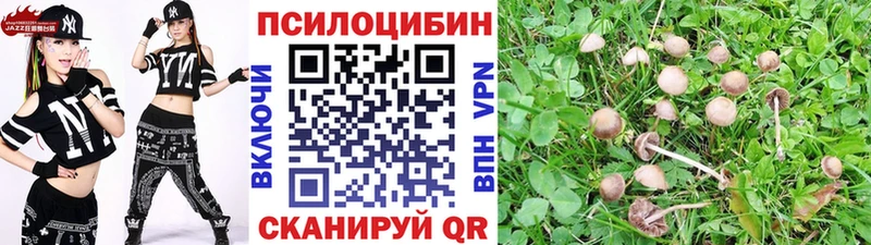 Галлюциногенные грибы Psilocybine cubensis  как найти   Печора 