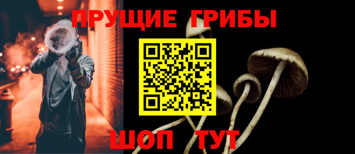Псилоцибиновые грибы MAGIC MUSHROOMS  Галлюциногенные грибы Psilocybine cubensis  где купить наркоту  Печора  Вход с VPN 