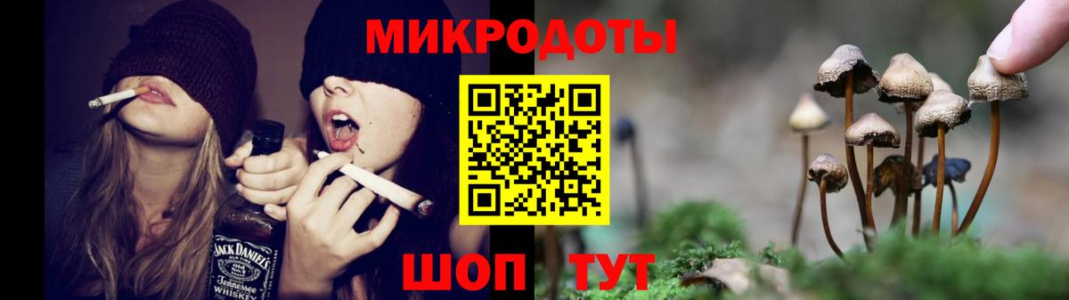 Галлюциногенные грибы ЛСД Печора